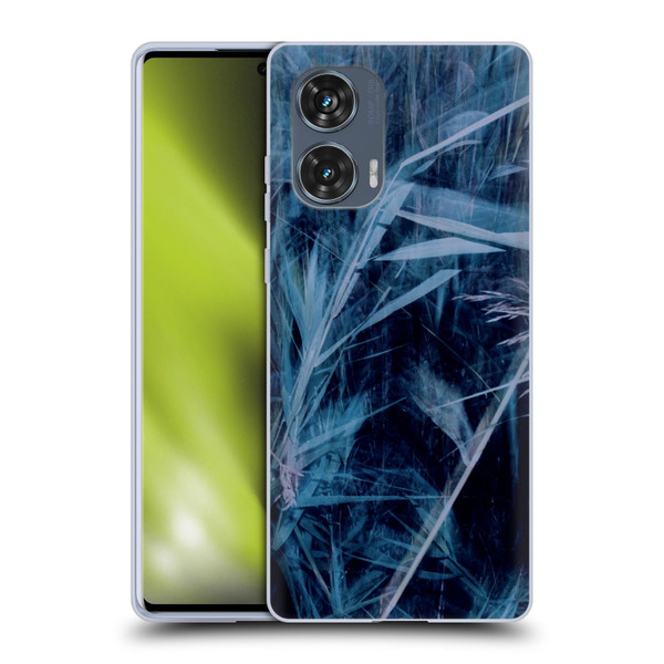 Dorit Fuhg Mystic Nature Blue Grass Soft Gel Case for Motorola Edge 50 Fusion