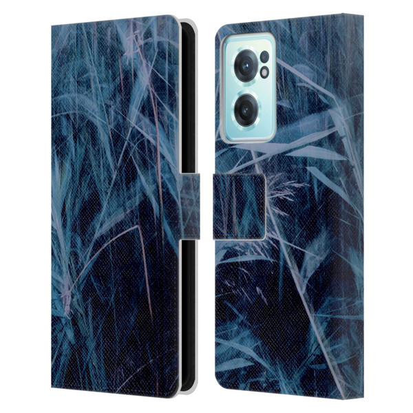 Dorit Fuhg Mystic Nature Blue Grass Leather Book Wallet Case Cover For OnePlus Nord CE 2 5G