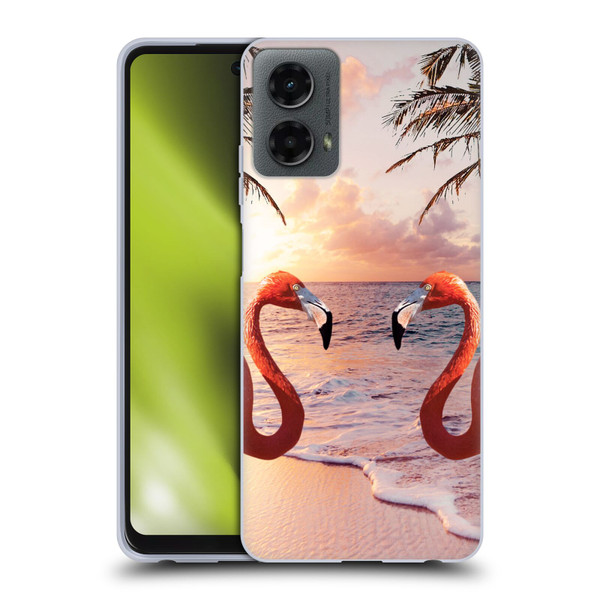 Random Galaxy Mixed Designs Flamingos & Palm Trees Soft Gel Case for Motorola Moto G (2024)