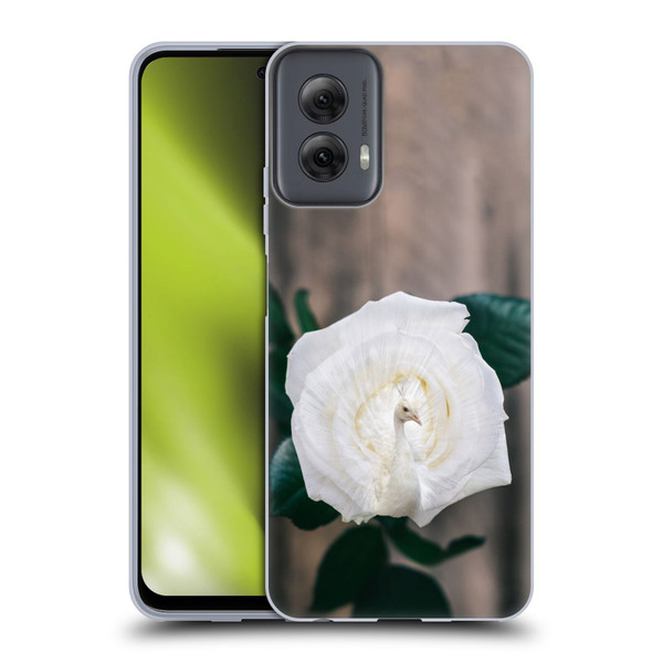 Pixelmated Animals Surreal Pets Peacock Rose Soft Gel Case for Motorola Moto G Power (2024)