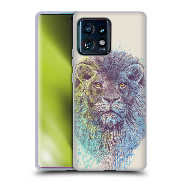 Rachel Caldwell Animals 3 Lion Soft Gel Case for Motorola Edge Plus 2023