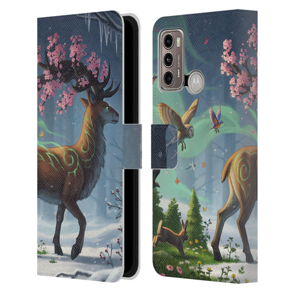 Jonas "JoJoesArt" Jödicke Fantasy Forest Springbringer Leather Book Wallet Case Cover For Motorola Moto G60 / Moto G40 Fusion