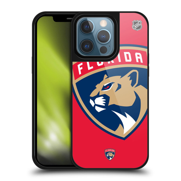 NHL Florida Panthers Oversized Gel Armour Case For Apple iPhone 13 Pro
