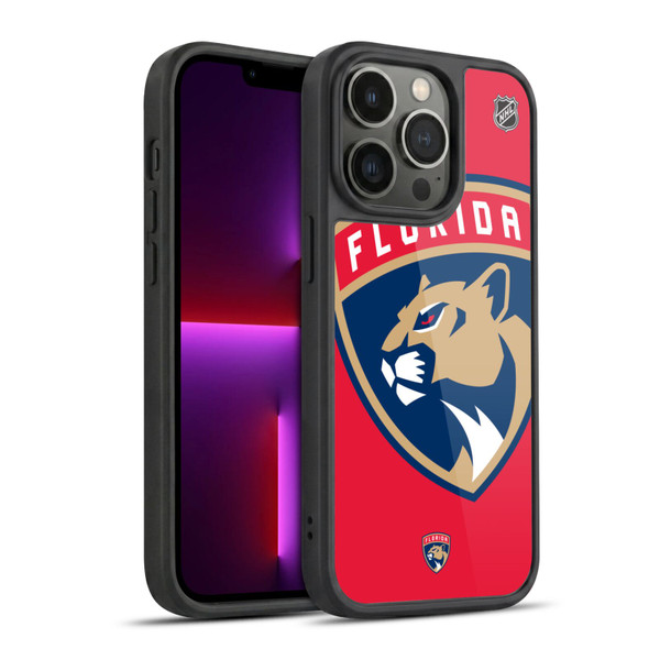 NHL Florida Panthers Oversized Gel Armour Case For Apple iPhone 13 Pro