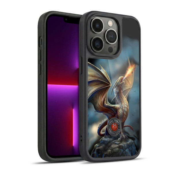 Anne Stokes Dragons Noble Gel Armour Case For Apple iPhone 13 Pro