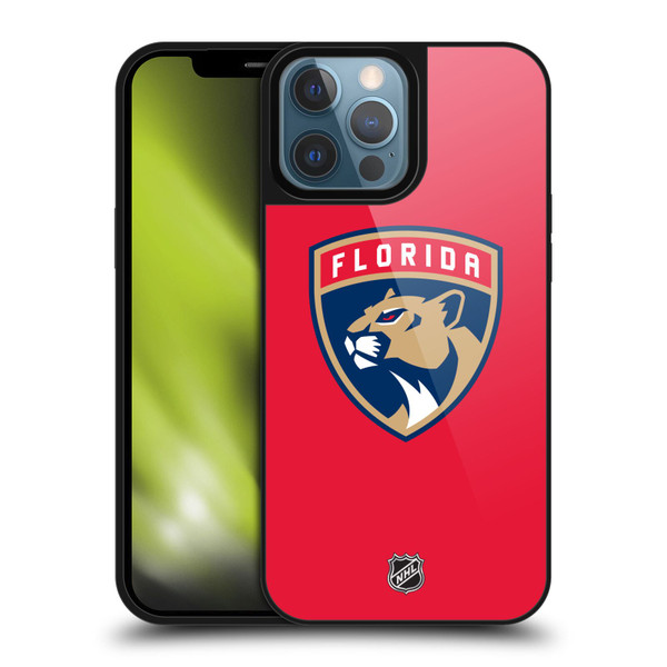 NHL Florida Panthers Plain Gel Armour Case For Apple iPhone 13 Pro Max
