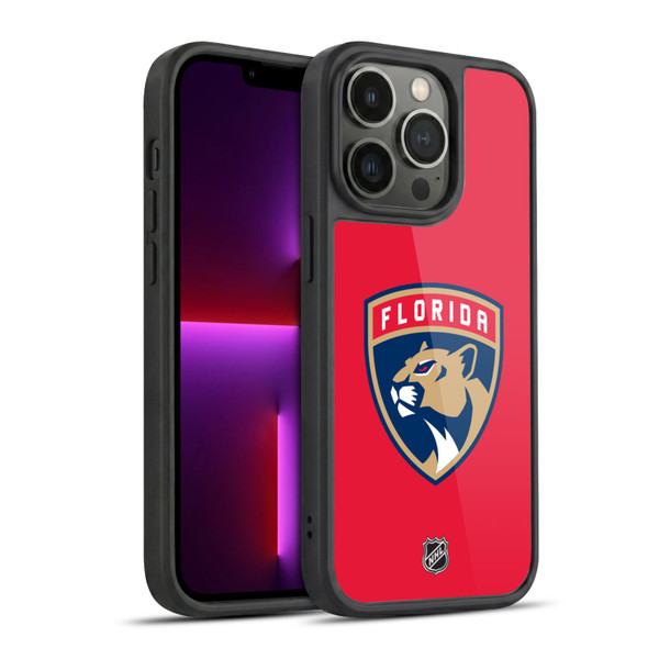 NHL Florida Panthers Plain Gel Armour Case For Apple iPhone 13 Pro