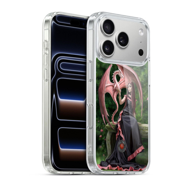 Anne Stokes Dragon Friendship Elegant Soft Gel Case for Apple iPhone 17 Pro