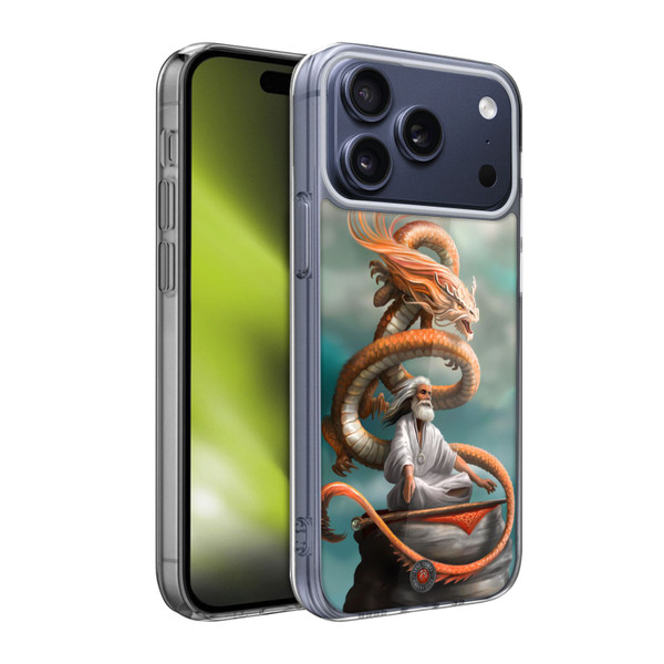 Anne Stokes Guardian Dragons The Hermit Soft Gel Case for Apple iPhone 17 Pro Max