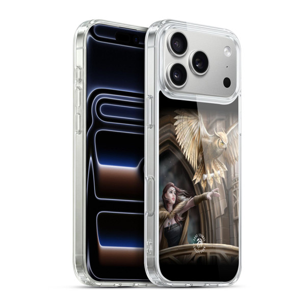Anne Stokes Owls Messenger Soft Gel Case for Apple iPhone 17 Pro Max