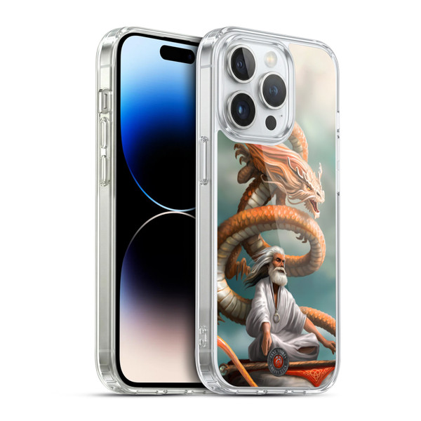 Anne Stokes Guardian Dragons The Hermit Soft Gel Case for Apple iPhone 14 Pro & MagSafe