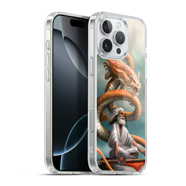 Anne Stokes Guardian Dragons The Hermit Soft Gel Case for Apple iPhone 16 Pro Max & MagSafe