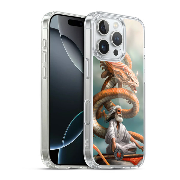 Anne Stokes Guardian Dragons The Hermit Soft Gel Case for Apple iPhone 16 Pro & MagSafe