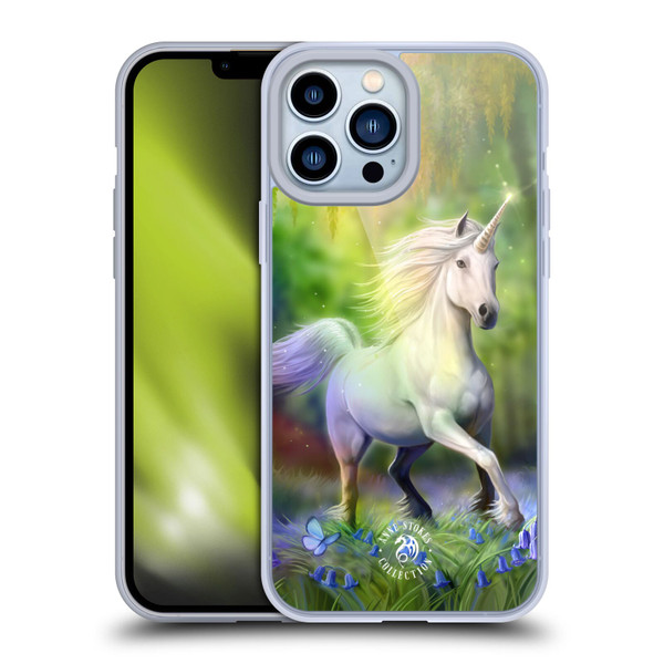 Anne Stokes Fantasy 2 Chase The Rainbow Soft Gel Case for Apple iPhone 13 Pro Max