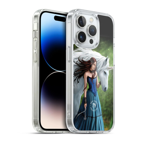 Anne Stokes Mythical Creatures Enchanted Fool Soft Gel Case for Apple iPhone 13 Pro & MagSafe