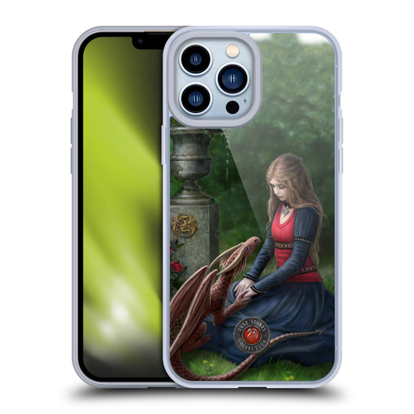 Anne Stokes Dragon Friendship Secret Garden Soft Gel Case for Apple iPhone 13 Pro Max