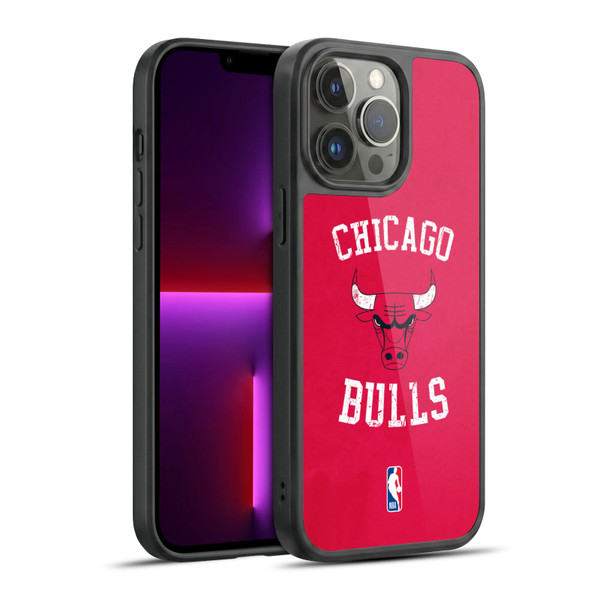 NBA Chicago Bulls Distressed Gel Armour Case For Apple iPhone 13 Pro Max