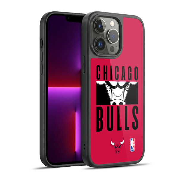 NBA Chicago Bulls Typography Gel Armour Case For Apple iPhone 13 Pro Max