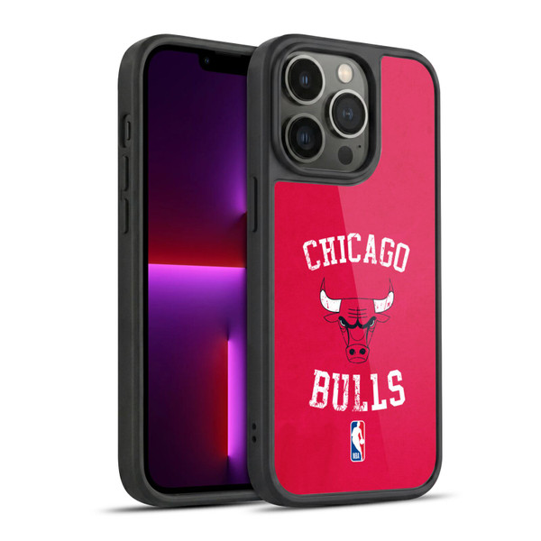 NBA Chicago Bulls Distressed Gel Armour Case For Apple iPhone 13 Pro