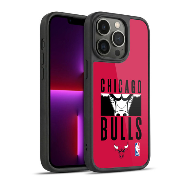 NBA Chicago Bulls Typography Gel Armour Case For Apple iPhone 13 Pro