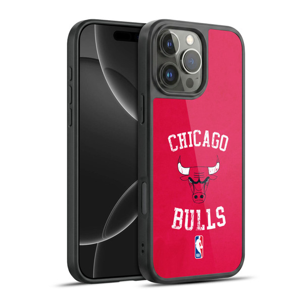 NBA Chicago Bulls Distressed Gel Armour Case For Apple iPhone 16 Pro Max