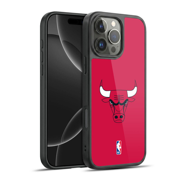 NBA Chicago Bulls Plain Gel Armour Case For Apple iPhone 16 Pro Max