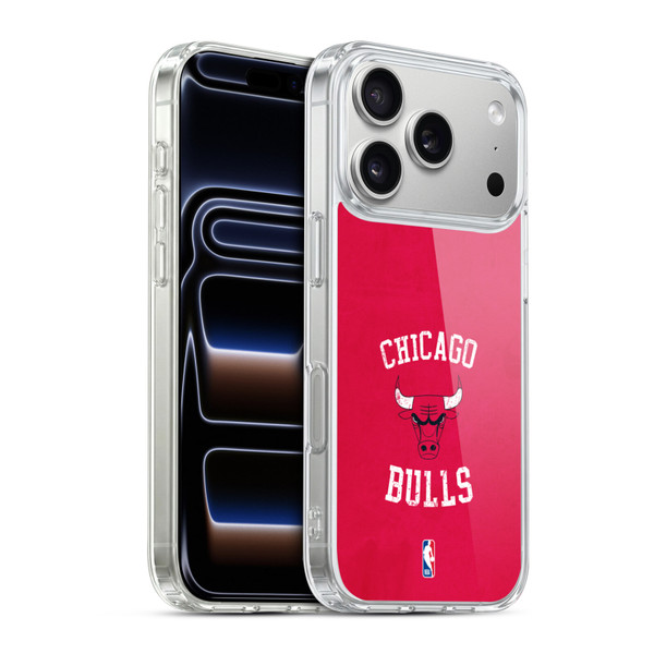 NBA Chicago Bulls Distressed Soft Gel Case for Apple iPhone 17 Pro