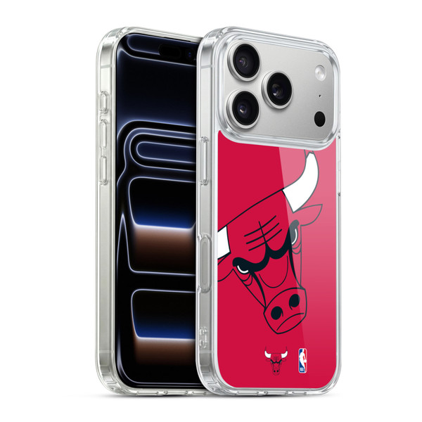 NBA Chicago Bulls Oversized Soft Gel Case for Apple iPhone 17 Pro
