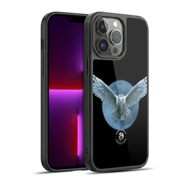 Anne Stokes Owls Moon Gel Armour Case For Apple iPhone 13 Pro Max