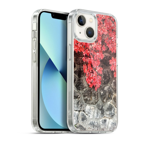 PLdesign Flowers And Leaves Ivy Autumn Soft Gel Case for Apple iPhone 13