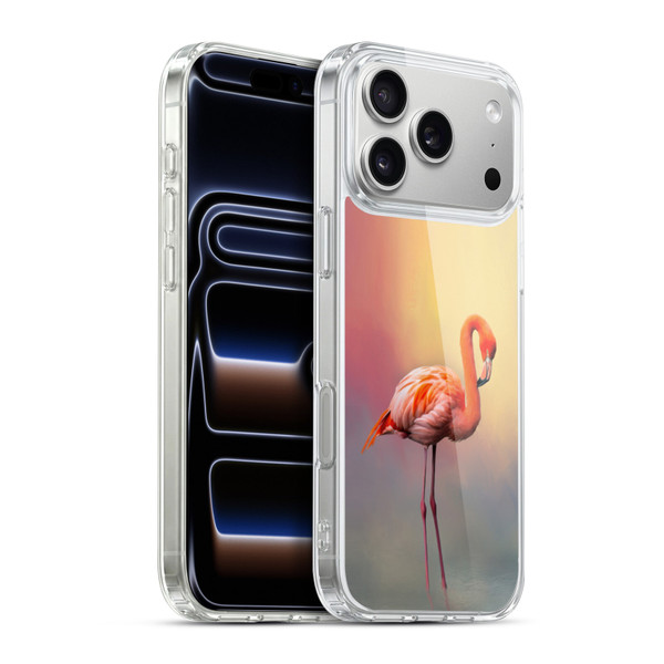 Simone Gatterwe Assorted Designs American Flamingo Soft Gel Case for Apple iPhone 17 Pro Max