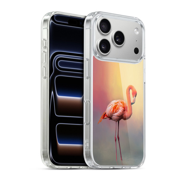 Simone Gatterwe Assorted Designs American Flamingo Soft Gel Case for Apple iPhone 17 Pro
