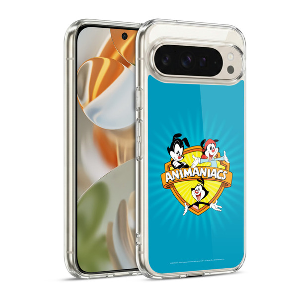 Animaniacs Graphics Logo Soft Gel Case for Google Pixel 9 / Pixel 9 Pro
