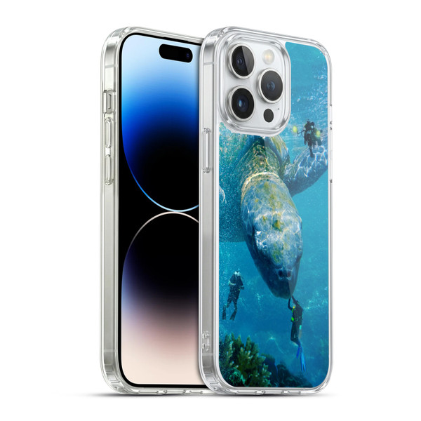 Dave Loblaw Sea Turtle Divers Soft Gel Case for Apple iPhone 14 Pro Max & MagSafe