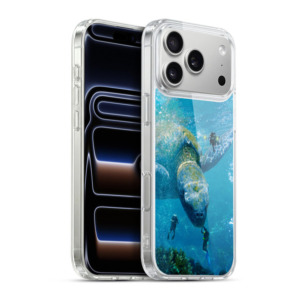 Dave Loblaw Sea Turtle Divers Soft Gel Case for Apple iPhone 17 Pro Max