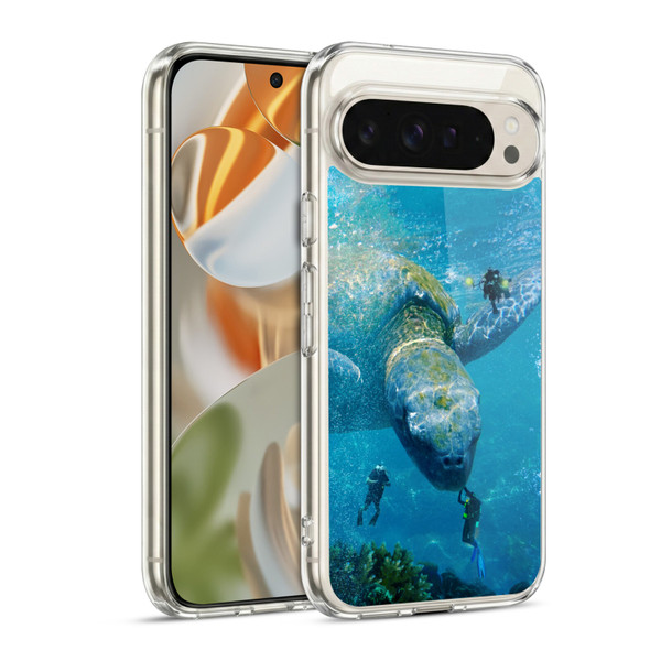 Dave Loblaw Sea Turtle Divers Soft Gel Case for Google Pixel 9 / Pixel 9 Pro