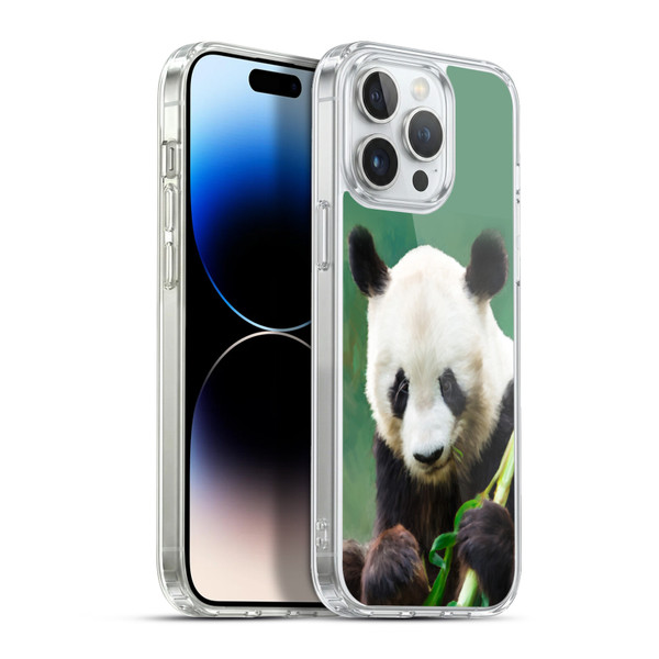 Simone Gatterwe Wildlife Panda Soft Gel Case for Apple iPhone 13 Pro Max & MagSafe