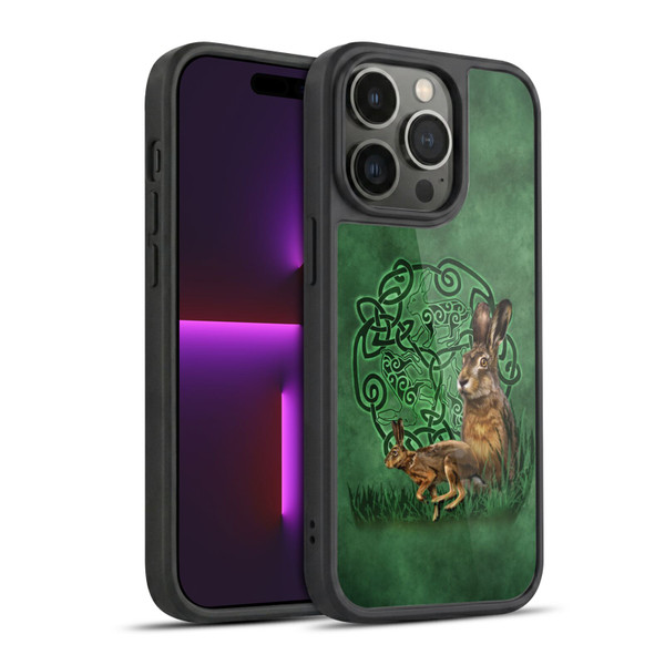 Brigid Ashwood Celtic Wisdom 2 Hare Gel Armour Case For Apple iPhone 14 Pro