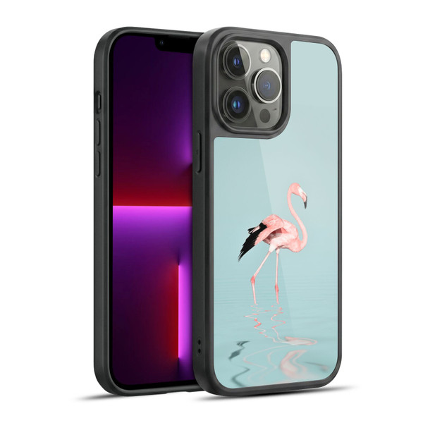 LebensArt Beings Flamingo Gel Armour Case For Apple iPhone 13 Pro Max