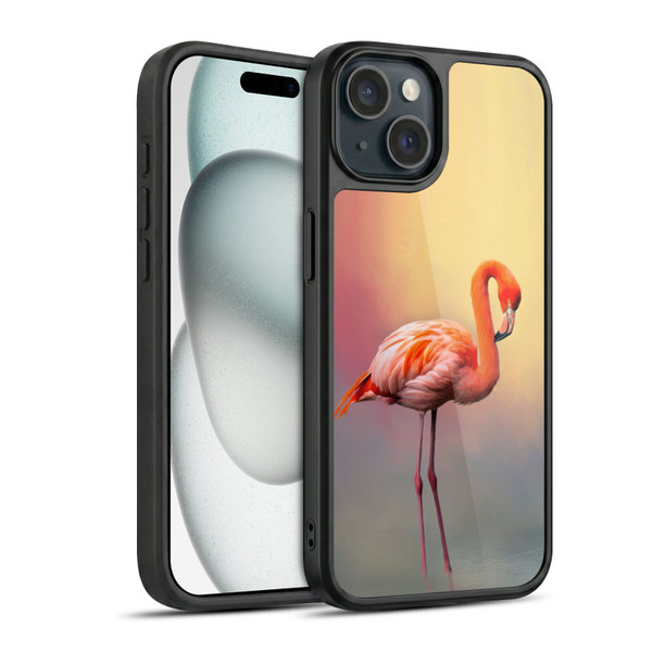 Simone Gatterwe Assorted Designs American Flamingo Gel Armour Case For Apple iPhone 15