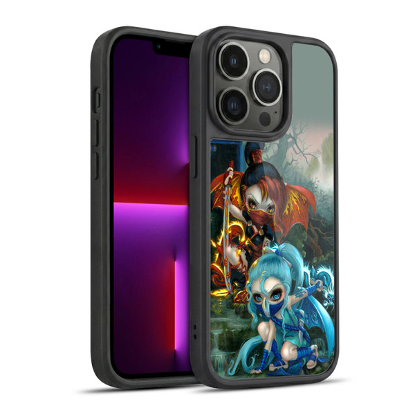 Strangeling Dragon Elemental Ninja Fairies Gel Armour Case For Apple iPhone 13 Pro