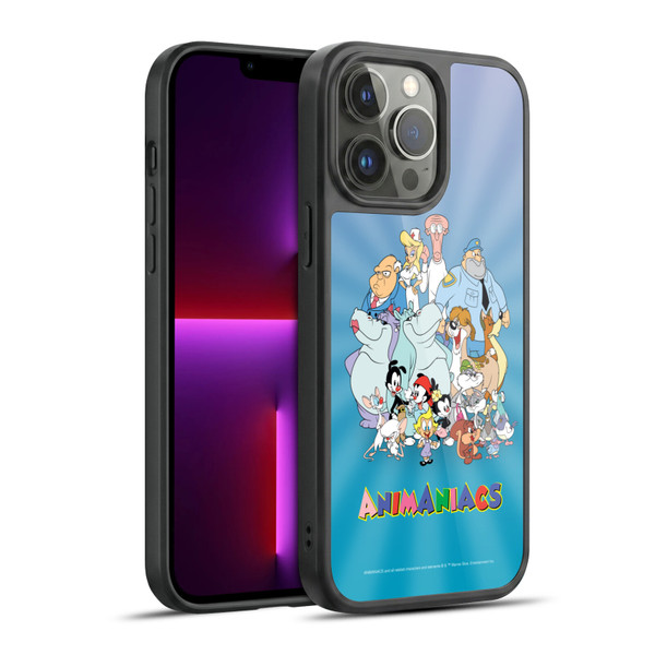 Animaniacs Graphics Group Gel Armour Case For Apple iPhone 13 Pro Max