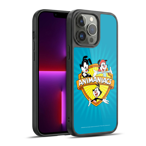 Animaniacs Graphics Logo Gel Armour Case For Apple iPhone 13 Pro Max