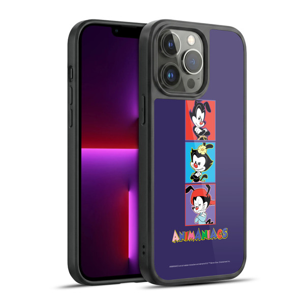 Animaniacs Graphics Tiles Gel Armour Case For Apple iPhone 13 Pro Max