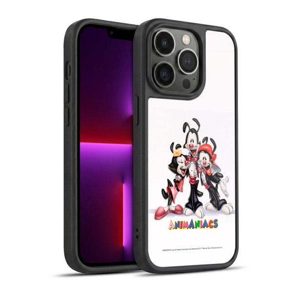 Animaniacs Graphics Formal Gel Armour Case For Apple iPhone 13 Pro