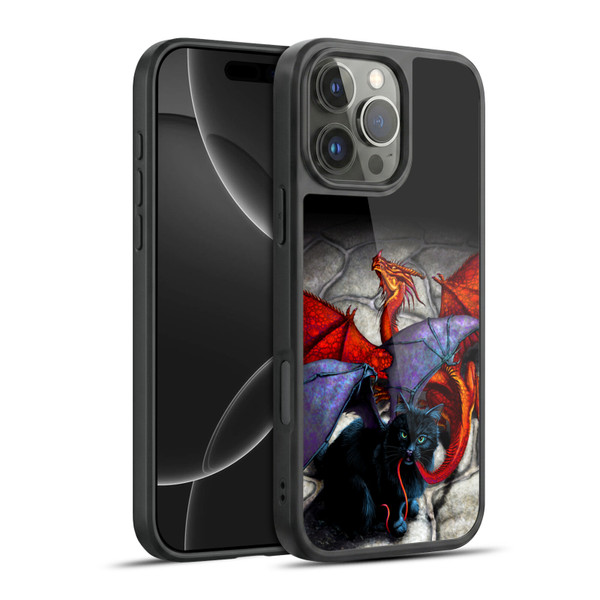 Stanley Morrison Art Bat Winged Black Cat & Dragon Gel Armour Case For Apple iPhone 16 Pro Max