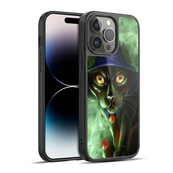 Ash Evans Black Cats Conjuring Magic Gel Armour Case For Apple iPhone 14 Pro Max