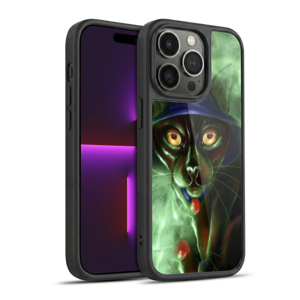 Ash Evans Black Cats Conjuring Magic Gel Armour Case For Apple iPhone 14 Pro