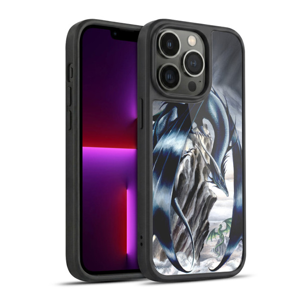 Ruth Thompson Dragons 2 Stormchaser Gel Armour Case For Apple iPhone 13 Pro