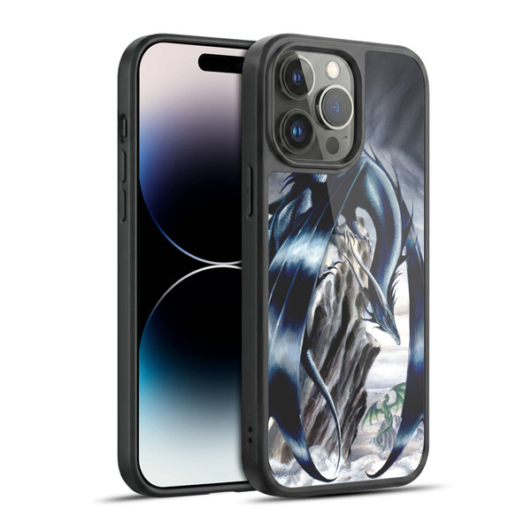 Ruth Thompson Dragons 2 Stormchaser Gel Armour Case For Apple iPhone 14 Pro Max